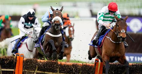 cheltenham tips and predictions.